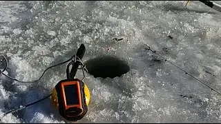 рыбалка на карася ловля зимой карася на боковой кивок