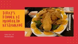 Mandarin Restaurant | Cedar City Restaurant | Cedar City UT | Chinese Food | Wanderlusters