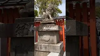 Here is a komainu in Japan.