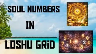 Soul Numbers of Loshu Grid