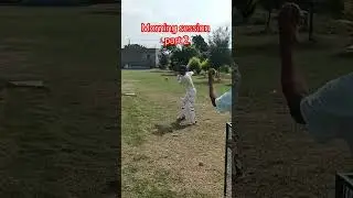 Cricketers, back to basics part 2 #cricket #battiing #game #practice #passion #ipl #shorts #cutshot
