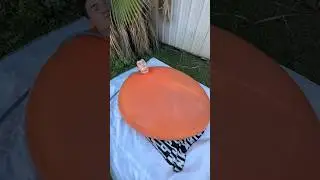 Big Balloon🤯Subscribe to me❤️