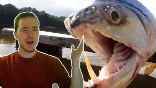 Fish Biologist reacts to 