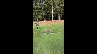 Fall outdoor maintenance