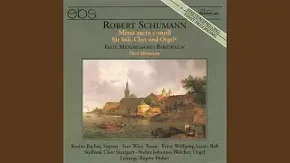 Missa Sacra op. 147 in C Minor: Credo