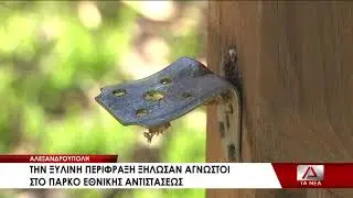 11 KLOPES SHMEIWTHIKAS STO PARKO ETHNIKHS ANTISTASHS