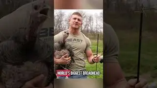 Worlds Biggest Broadhead Vs Pet Turkey  🤯 #archery #turkey #slowmotion #broadhead #beastbroadheads