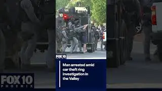 Police arrest Arizona man amid organized car theft probe | FOX 10 Phoenix