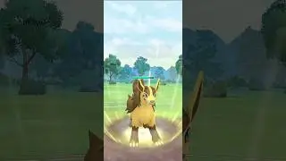 ✨️I Used Mightyena For First Time In Great League of Pok&eacute;mon Go✨️| #shorts #gaming #pok&eacute;mon