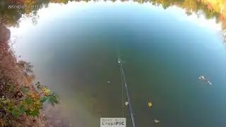 fish came off on GoPro looks LIT!!!!