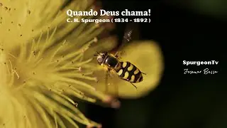 Quando Deus Chama | C. H. Spurgeon | Sermão  664