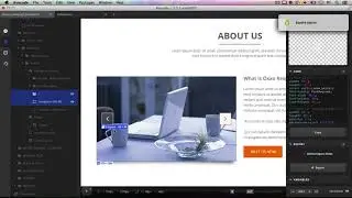 Avocode &ndash; замена Photoshop  Урок 4