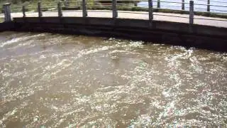 R&iacute;o Saladillo..