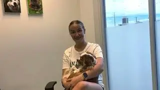 Chloe's Progression - Post TEER Procedure | Veterinary Specialists of Sydney