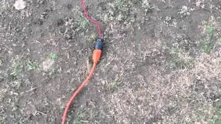 Electric worm get her