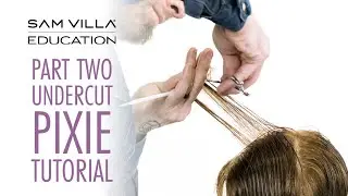 PART TWO - Pixie Haircut Tutorial - Cutting the Top