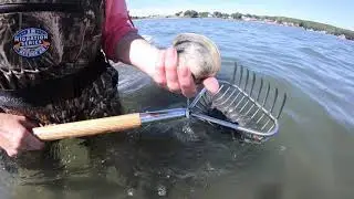 KB White Co Clamming Tools