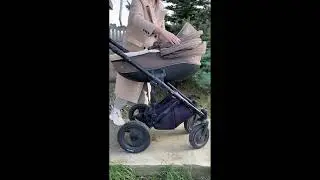 Универсальная коляска Tutis Zippy 3в1