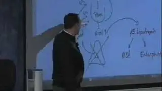 The PASS Program USMLE Prep Course, Champaign IL, Dr. Francis Ihejirika