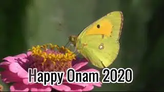 Lock down Onam Status Message | Whatsapp Status | Free download | Onam 2020