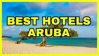 🔴 ✅ Top 10 Best Hotels In Aruba