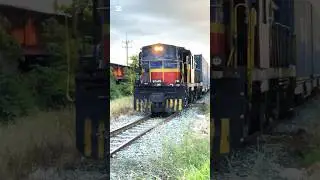 Leads Container Train #shortvideo #shorts #train #railfa