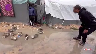 Adverse Weather Collapses Makeshift Tents for Displaced Gazans