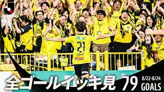 【週末のゴールをイッキ見！】明治安田Ｊリーグ 全ゴールまとめ【8月22日-24日】