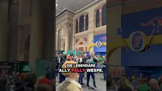 The legendary Ally Pally wasp 🐝 Why does it keep coming back here?
