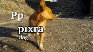 Khinalugh Alphabet Video 33 P