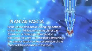 Plantar Fasciitis Treatment: Stretching to Reduce Heel Pain