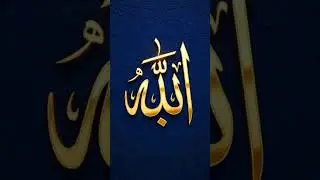 #bayan #duet #funny #love #shaikhfurqan #islamicquotes #4line #islamicsayings #salmanahmadkhan sy 12