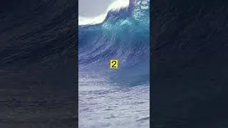 3 способа пережить цунами #шорты