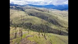 Amazing Views on 40-Acres in Tonasket - $39,997
