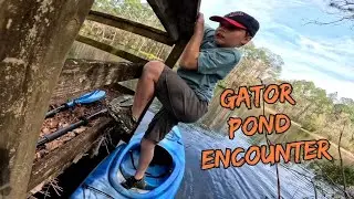 Kayaking in Alligator Pond with Florida Man and Florida Boy