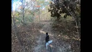 Long Run Park