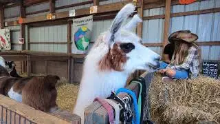 Bethlehem Fair | Connecticut | Bethlehem connecticut | The Four Town Fair | Connecticut fair | fair