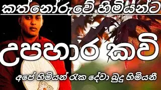 කාව්‍ය උපහාරය අපේ හාමුදුරුවන්හට 🥰🙏💗#buddah#kathnoruwesiridammahimi#trendingvideo#viralvideos#youtub