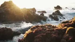 &ldquo;Relaxing Nature Sounds | Stress Relief & Peaceful Mind 🌿&rdquo;