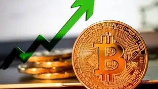 Investors Love Crypto: New Bakkt & Galaxy Bitcoin Products, New Stats - What It Means