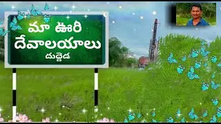 Duddeda village vlog#1 //my village atmosphere & covering of temples