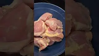 Dogs Raw Diet #rottweiler