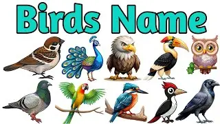 Learn 20 Birds Name | Birds Vocabulary for Kids 