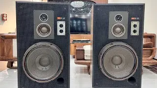 Loa Sony G7 bass 40 đẹp quá nặng 100kg mà mang về zin như này cơ mà