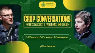 Managing One of the Midwest's Most Destructive Corn Pests