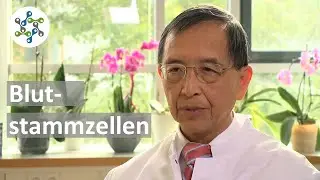 Die Forschung an Blutstammzellen