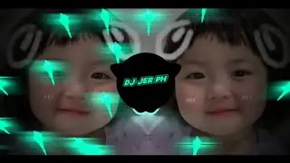 DJ PANIS KA BOY x WHERE HAVE YOU BEEN - NEW 2026 SLOWED VIRAL REMIX - DJ JER PH