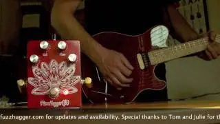 Fuzzhugger (fx): Algal Bloom Fuzz