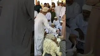 #friday Goat Market Oman Nizwa