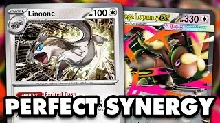 Linoone Has Perfect Synergy With Mega Lopunny!